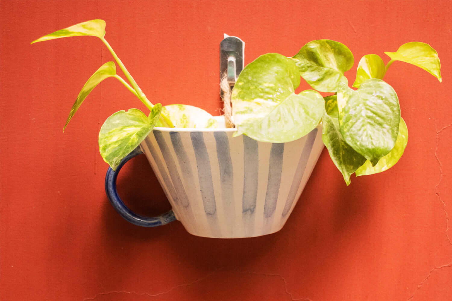 Budding Bloom Wall Hanging Planter | Earthan