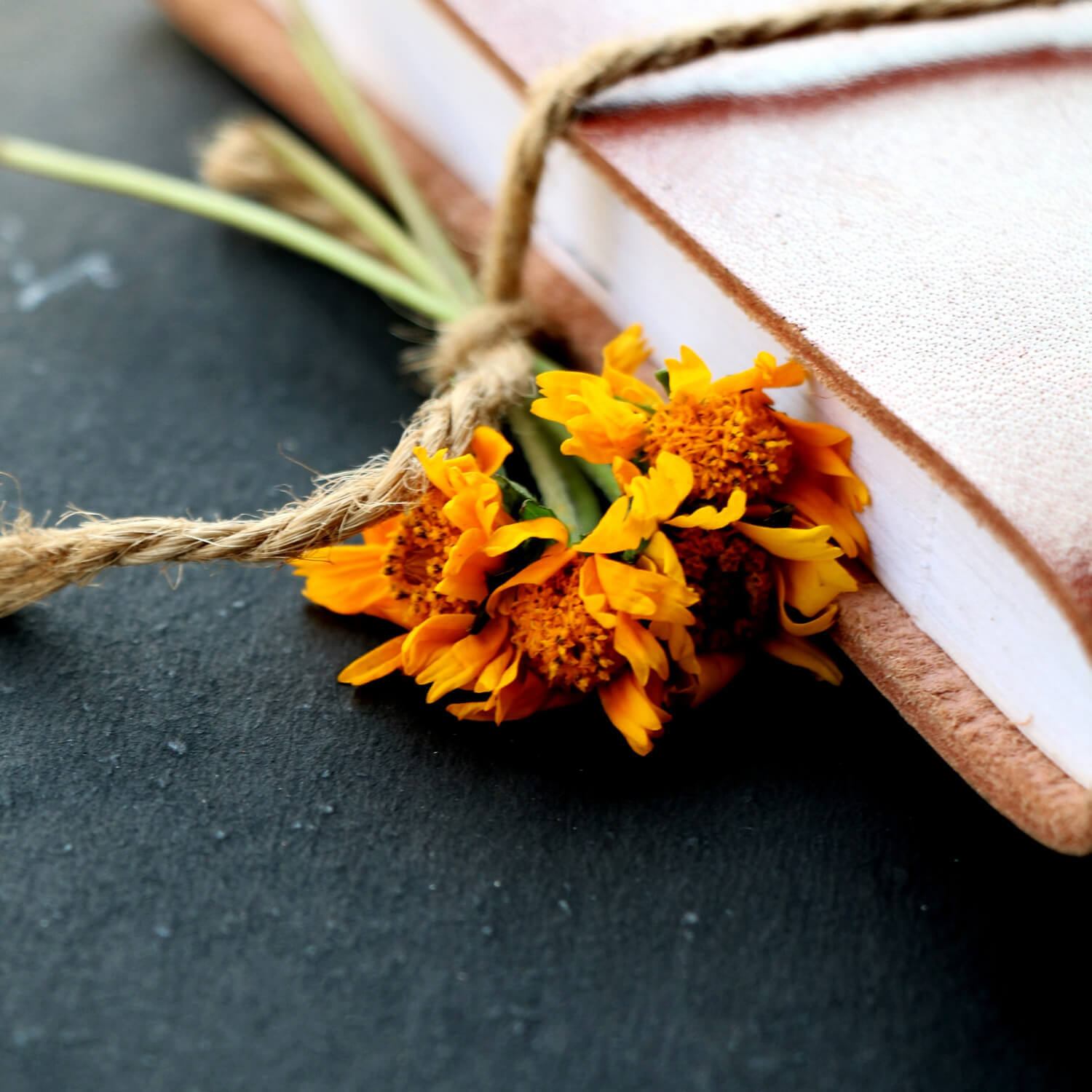 BEST WISHES FOR YOU E-GIFT CARD | Earthan