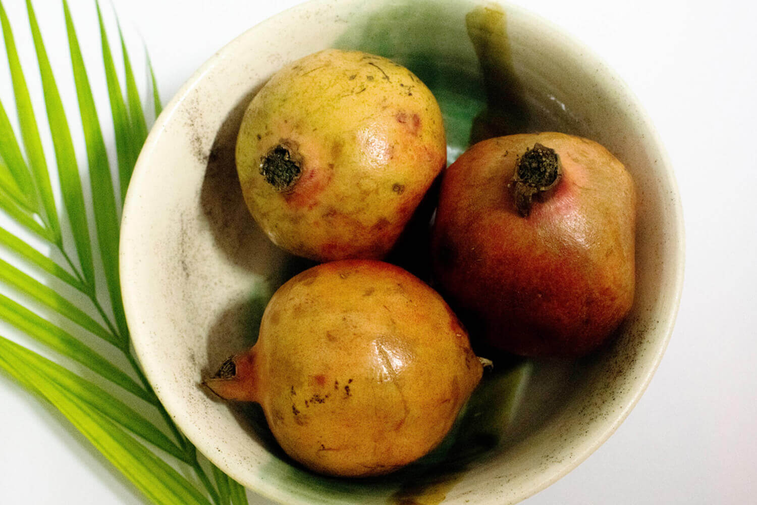 Green Ceramic Bowl | Earthan