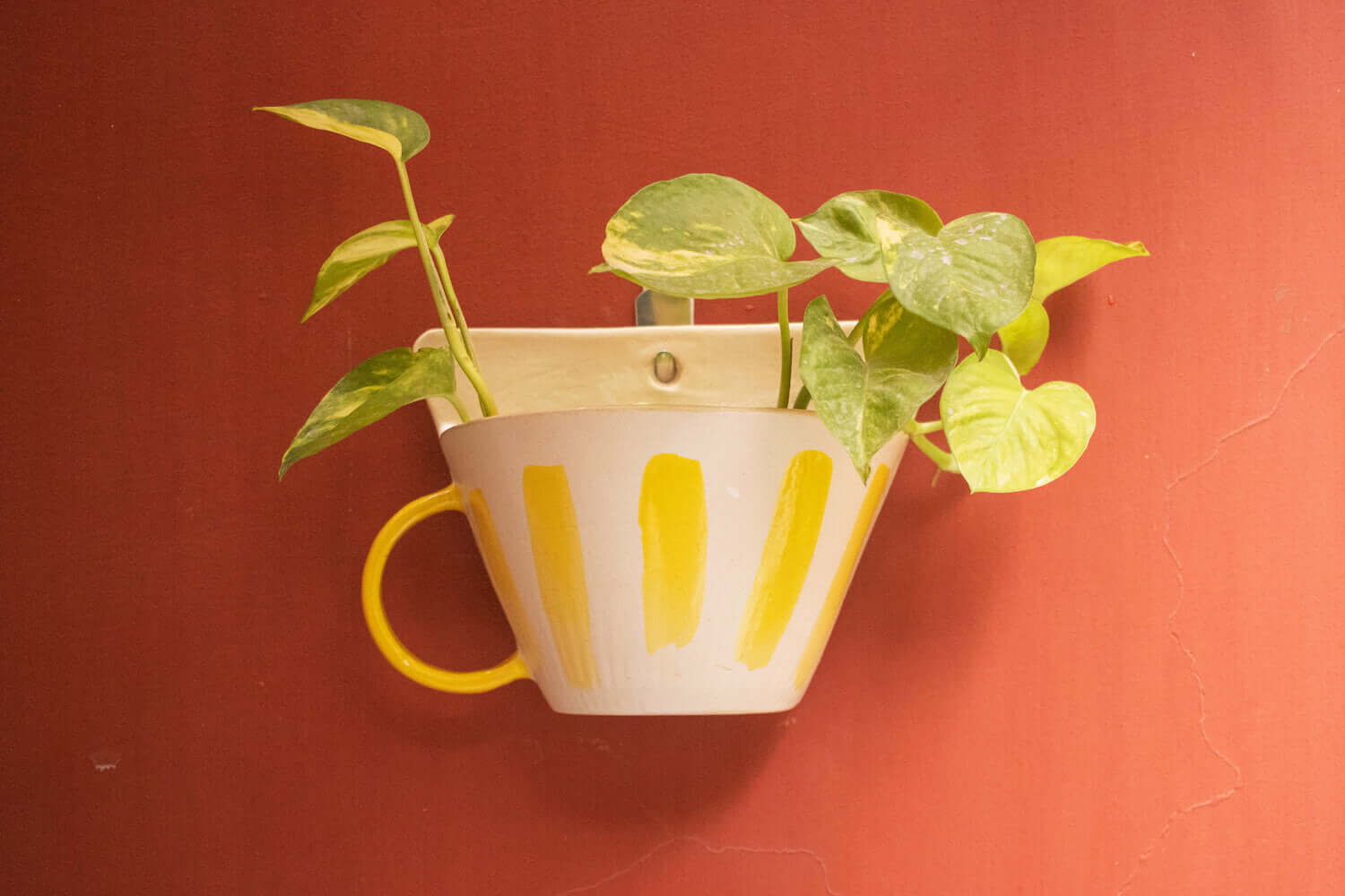 Budding Bloom Wall Hanging Planter | Earthan